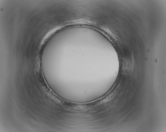 X0000081291358200701251642