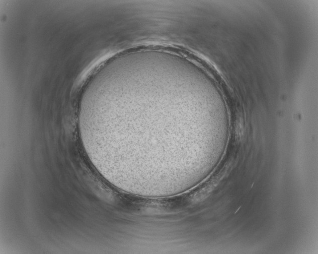 X0000081291359200701251642