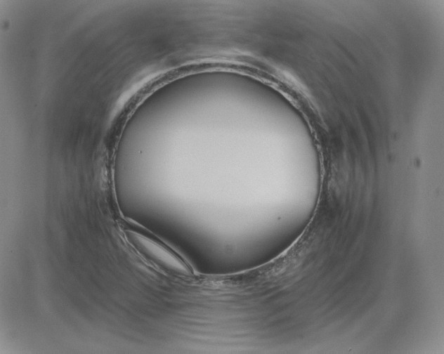 X0000081291360200701251642