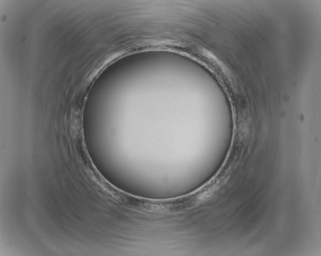 X0000081291361200701251642