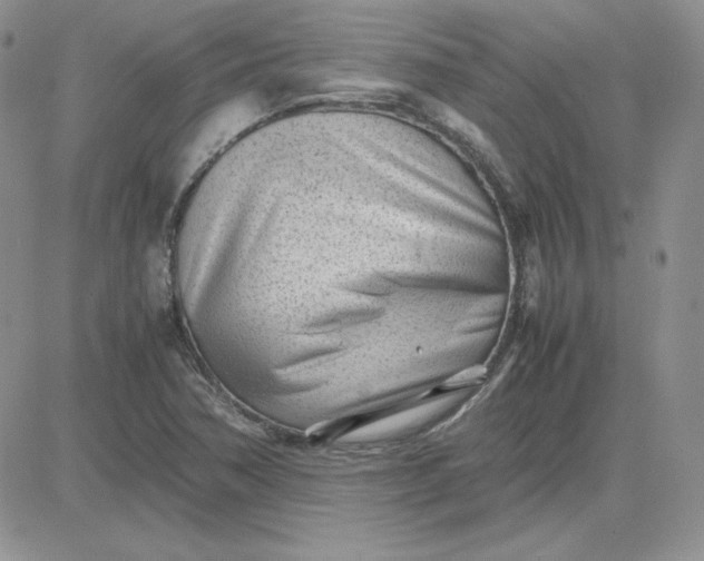 X0000081291362200701251642