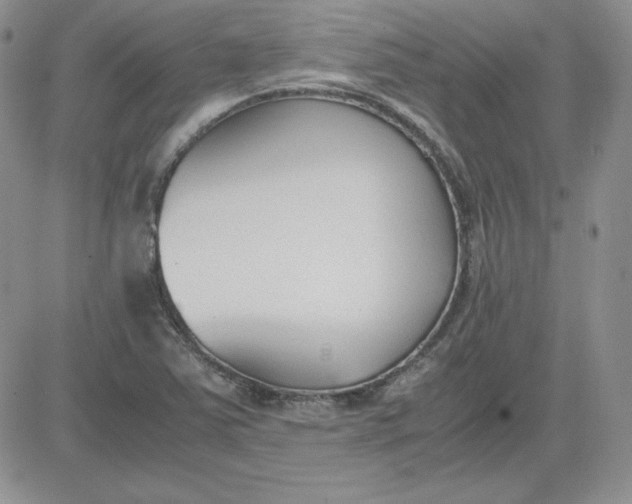 X0000081291363200701251642