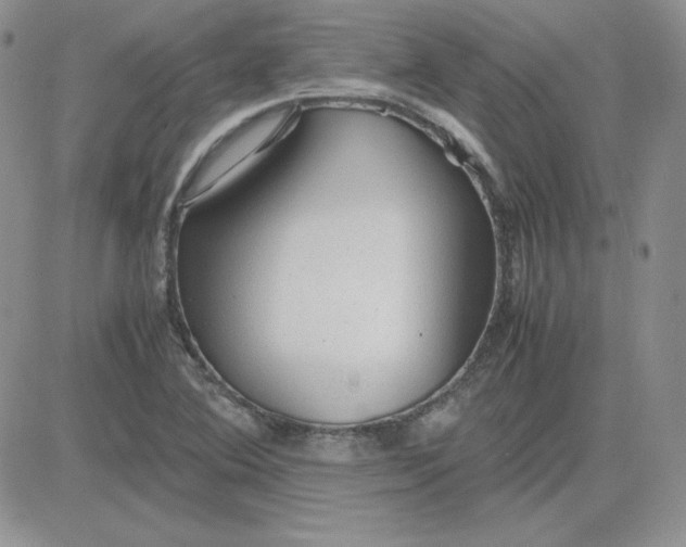 X0000081291364200701251642