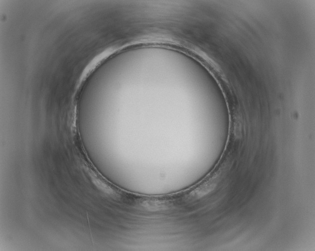 X0000081291366200701251642