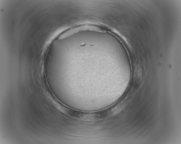 X0000081291367200701251642