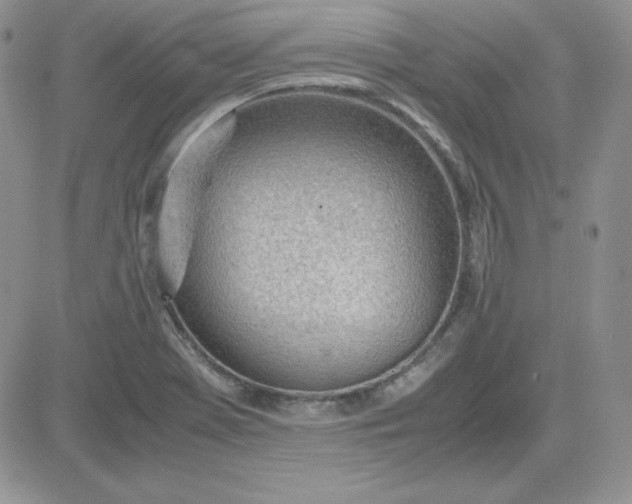 X0000081291369200701251642