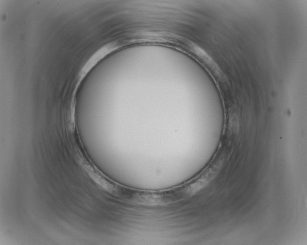 X0000081291370200701251642