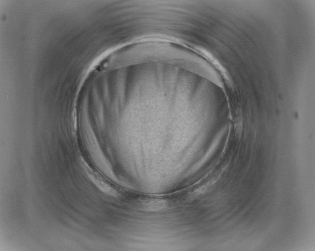 X0000081291372200701251642