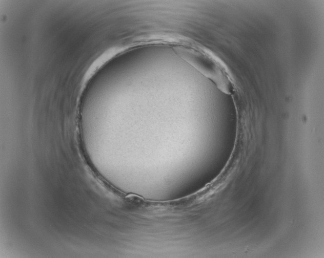 X0000081291373200701251642