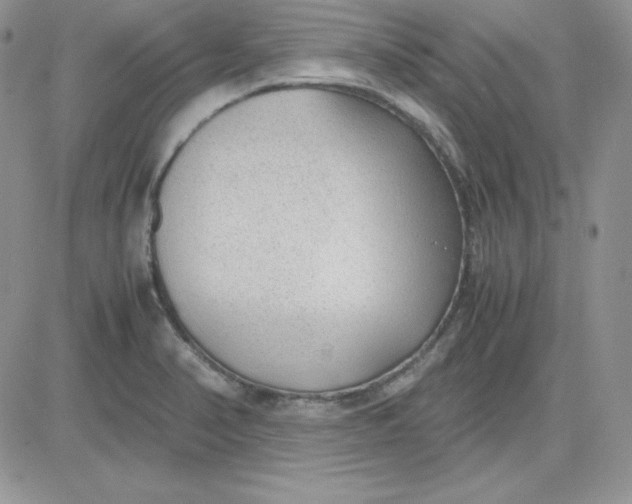 X0000081291374200701251642