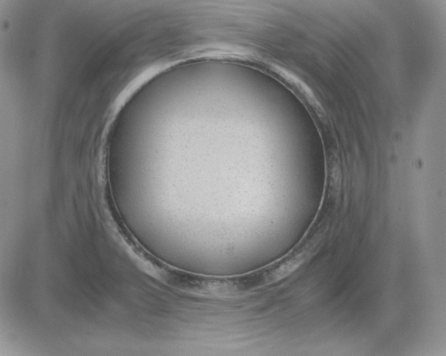 X0000081291375200701251642