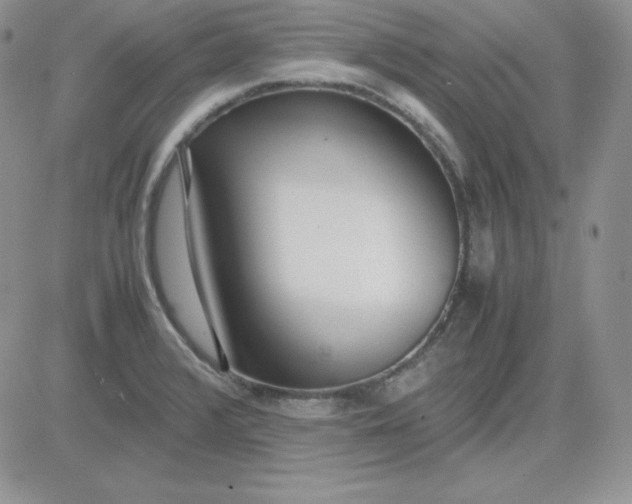 X0000081291376200701251642