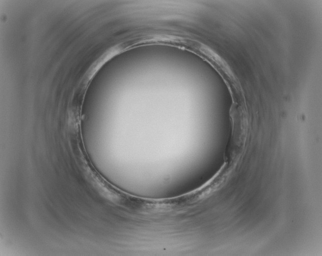 X0000081291377200701251642