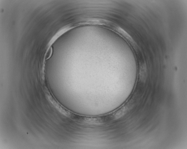 X0000081291378200701251642