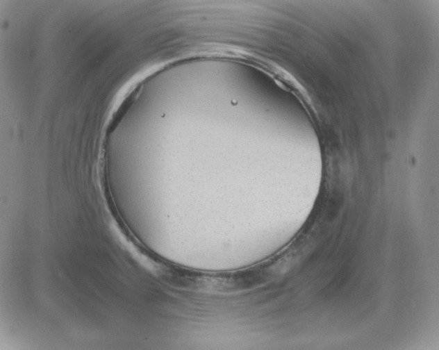 X0000081291379200701251642