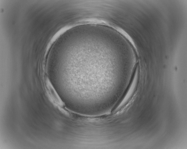 X0000081291381200701251642