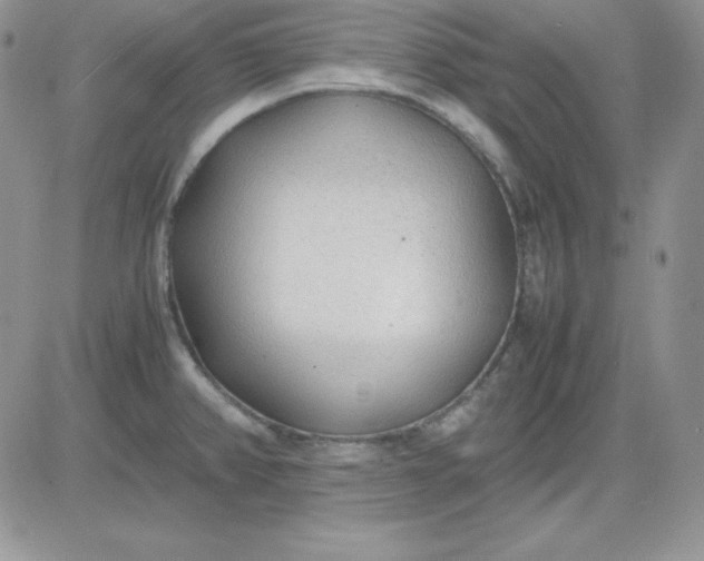 X0000081291382200701251642