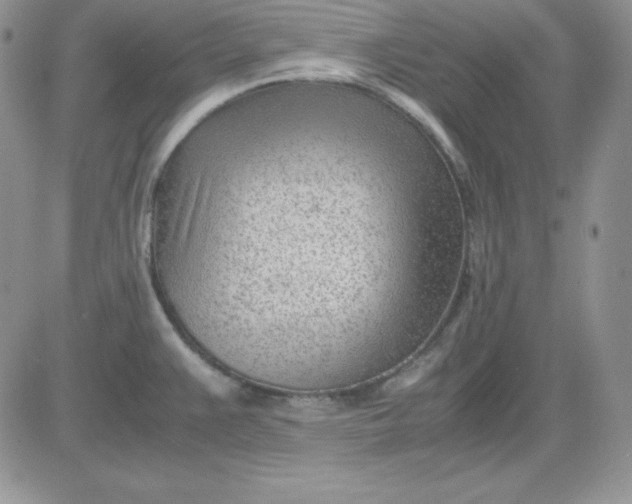 X0000081291383200701251642