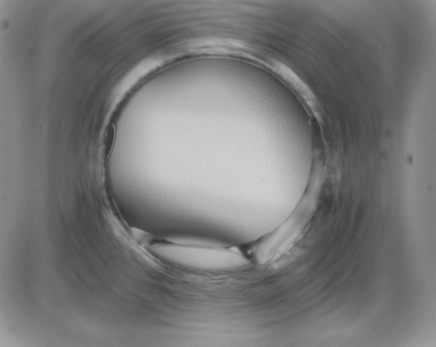 X0000081291384200701251642