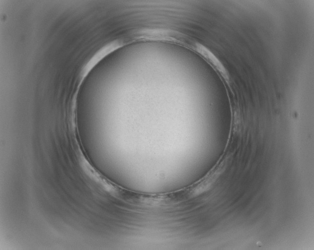 X0000081291386200701251642