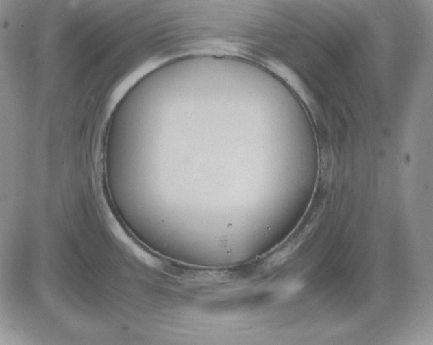 X0000081291387200701251642