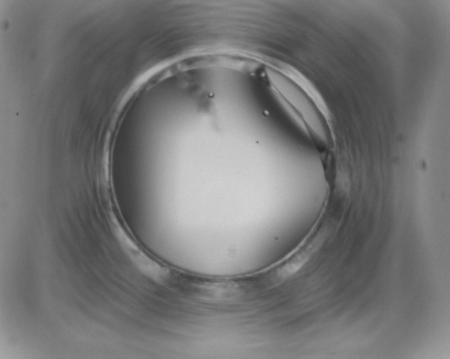 X0000081291388200701251642