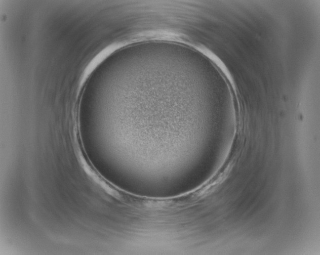 X0000081291389200701251642