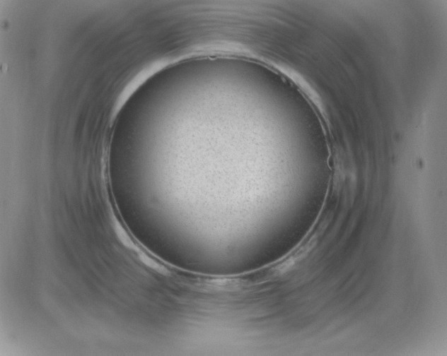 X0000081291390200701251642