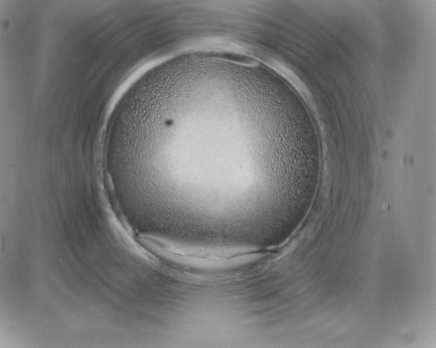 X0000081291392200701251642