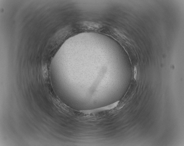 X0000081291395200701251641