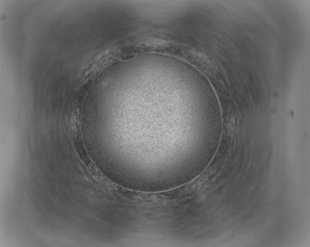 X0000081291397200701251641