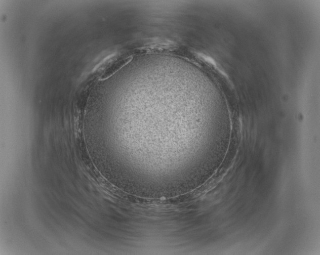 X0000081291399200701251641