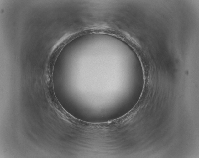 X0000081291400200701251641