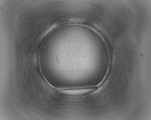 X0000081291401200701251641