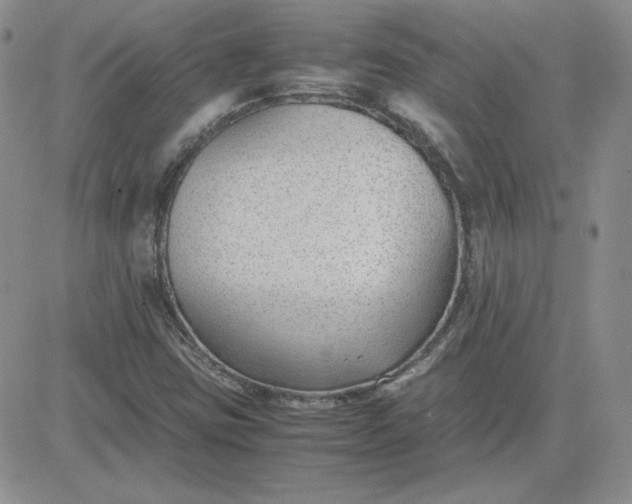 X0000081291403200701251641