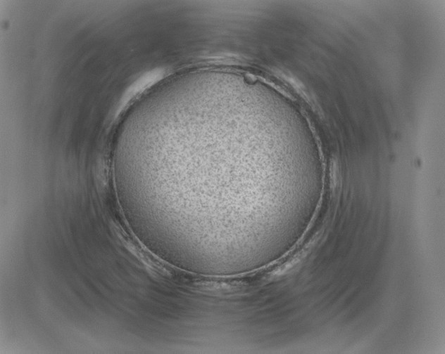 X0000081291405200701251641