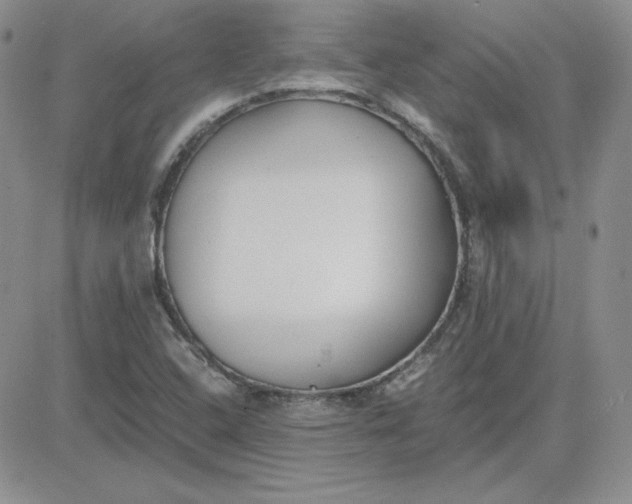 X0000081291408200701251641