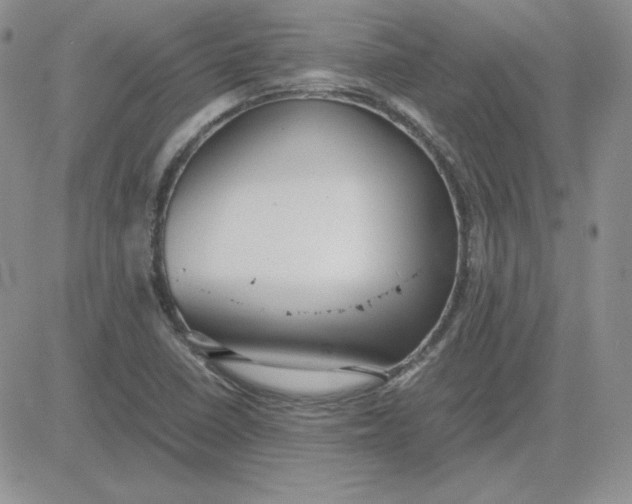 X0000081291410200701251641