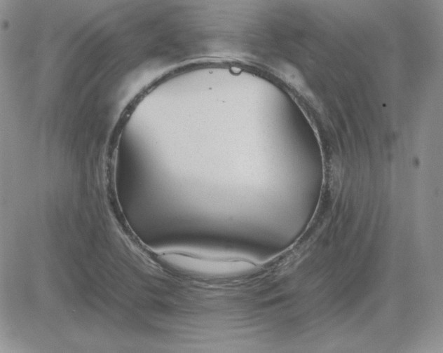 X0000081291412200701251641