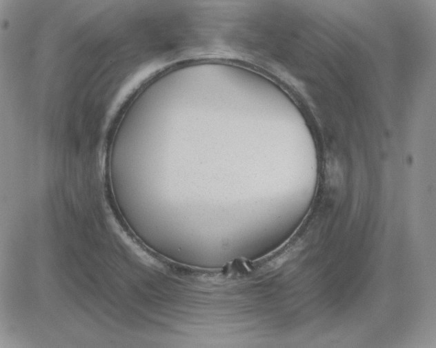 X0000081291416200701251641