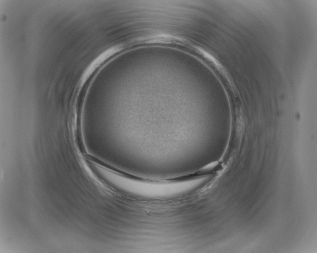 X0000081291418200701251641