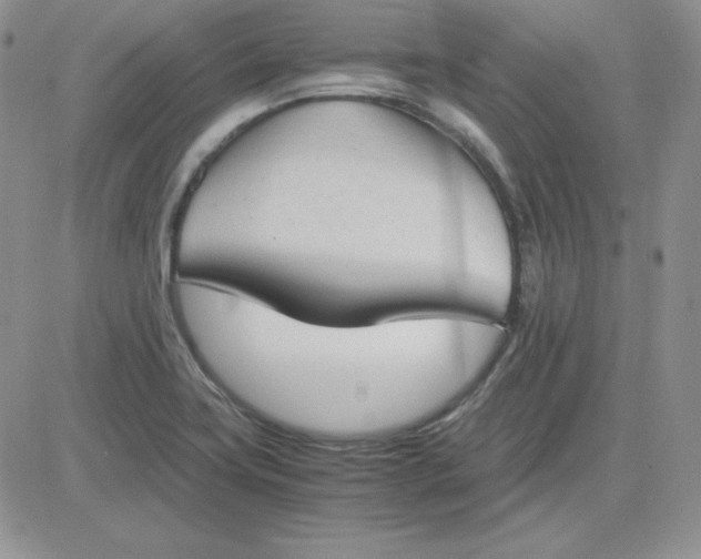 X0000081291419200701251641