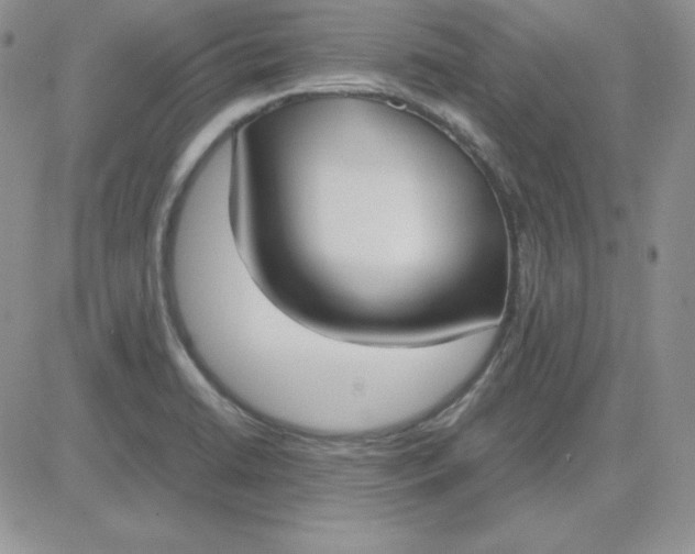 X0000081291422200701251641