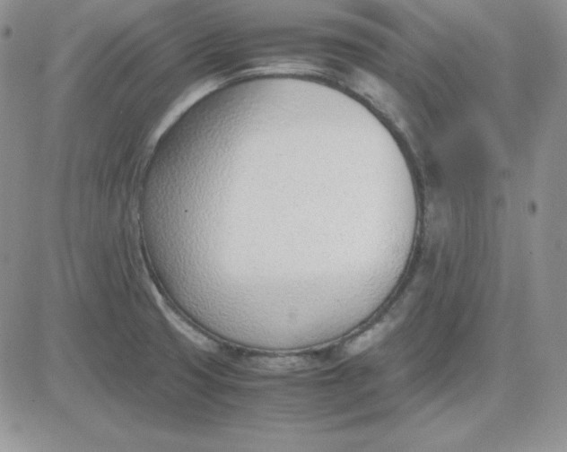 X0000081291425200701251641