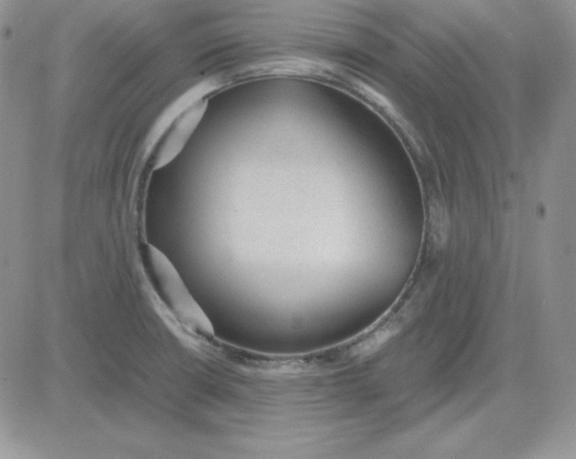 X0000081291426200701251642