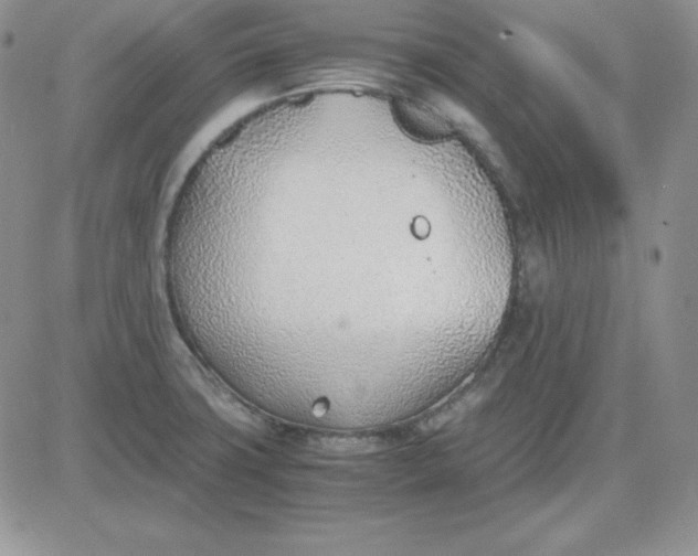 X0000081291427200701251642