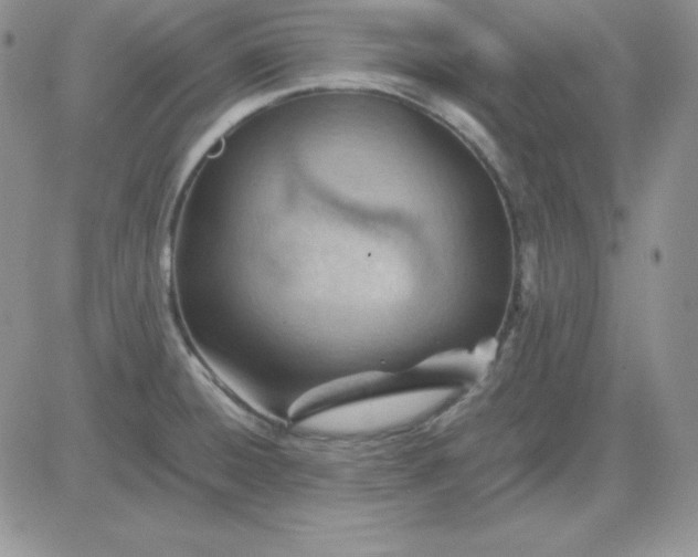 X0000081291428200701251642