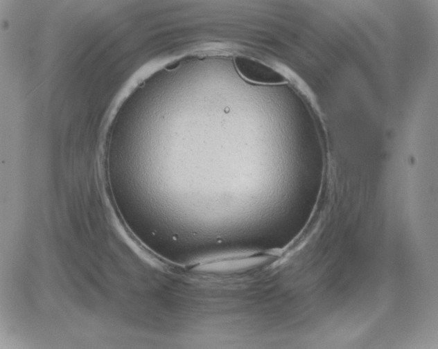 X0000081291429200701251642