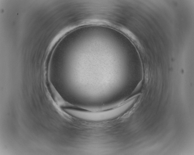 X0000081291430200701251642