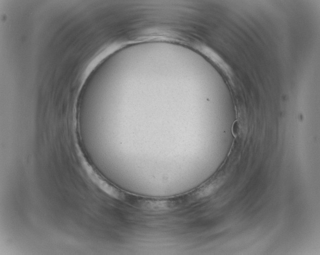 X0000081291431200701251642